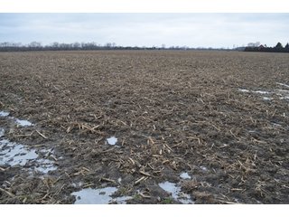 Property photo 18 - 175 Acres Offered in 5 Tracts - Tontogany, Ohio Farm Land Auction